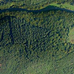 Satellite imagery of Eichelt, DE