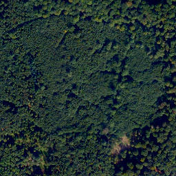 Satellite imagery of Ringmauer, DE