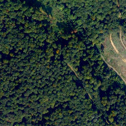 Satellite imagery of Weißlerhöhe, DE