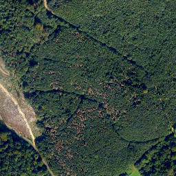 Satellite imagery of Weißlerhöhe, DE