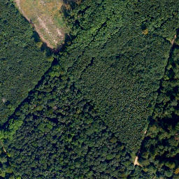 Satellite imagery of Weißlerhöhe, DE