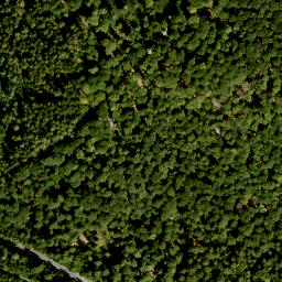 Satellite imagery of Burkhartsberg, DE