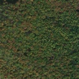 Satellite imagery of Daremnice [Kněžice u Městce Králové], CZ