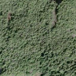 Satellite imagery of Shields Cone, CA