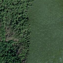 Satellite imagery of Mount Monk, CA