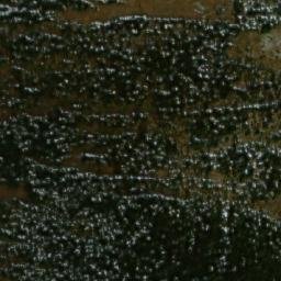 Satellite imagery of Sentinel Pass, CA