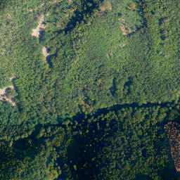 Satellite imagery of Pflein, DE