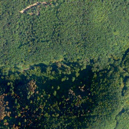 Satellite imagery of Pflein, DE