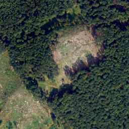Satellite imagery of Ringmauer, DE