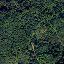 Satellite imagery of Ringmauer, DE