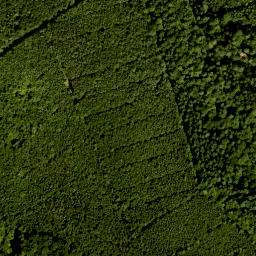 Satellite imagery of Burkhartsberg, DE