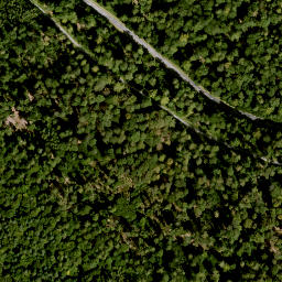 Satellite imagery of Burkhartsberg, DE