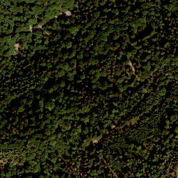 Satellite imagery of Geuserberg, DE