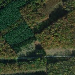 Satellite imagery of U Borku [Záhornice u Městce Králové], CZ