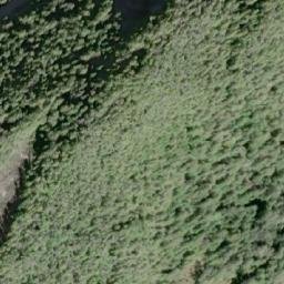 Satellite imagery of Shields Cone, CA