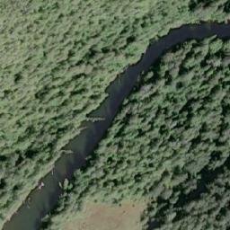 Satellite imagery of Shields Cone, CA