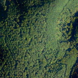 Satellite imagery of Pflein, DE