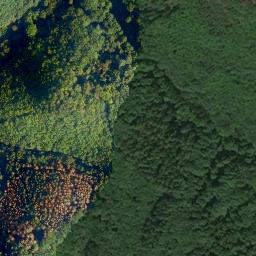 Satellite imagery of Münnichs-Berg, DE