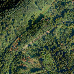 Satellite imagery of Horstkopf, DE