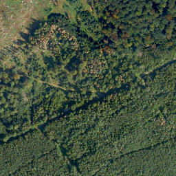 Satellite imagery of Ringmauer, DE