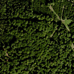 Satellite imagery of Steiniger Berg, DE