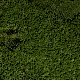 Satellite imagery of Burkhartsberg, DE