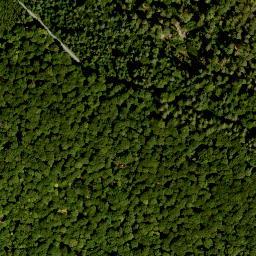 Satellite imagery of Burkhartsberg, DE