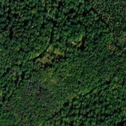 Satellite imagery of Wambachshügel, DE
