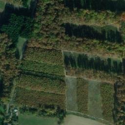 Satellite imagery of U Borku [Záhornice u Městce Králové], CZ