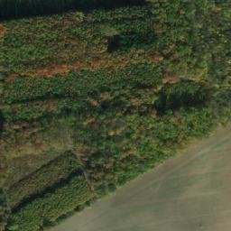 Satellite imagery of U Borku [Záhornice u Městce Králové], CZ