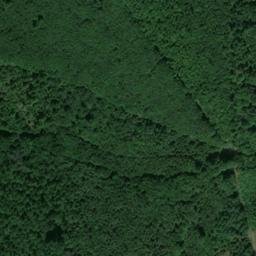 Satellite imagery of Mühlberg, DE