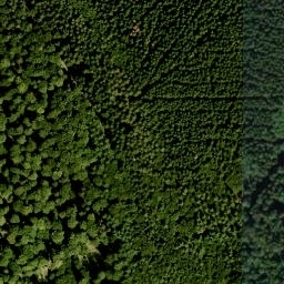 Satellite imagery of Steiniger Berg, DE
