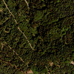 Satellite imagery of Fuchsberg, DE