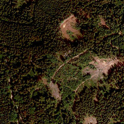 Satellite imagery of Radspitze, DE