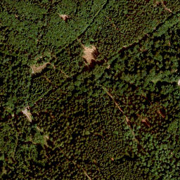 Satellite imagery of Radspitze, DE