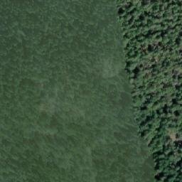Satellite imagery of Shirley Point, CA