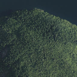 Satellite imagery of Bohn Point, CA