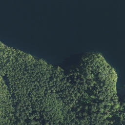 Satellite imagery of Bohn Point, CA