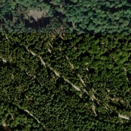 Satellite imagery of Steinbachsküppel, DE