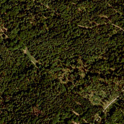 Satellite imagery of Fuchsberg, DE