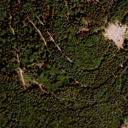 Satellite imagery of Radspitze, DE
