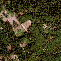 Satellite imagery of Radspitze, DE