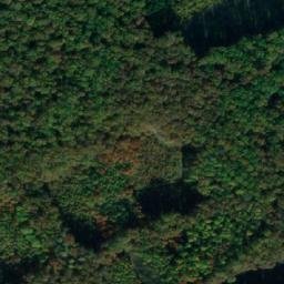 Satellite imagery of (Kanovnický les) [Činěves], CZ
