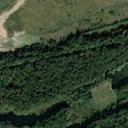 Satelita