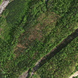 Satellite imagery of 343/352/351/350, PL