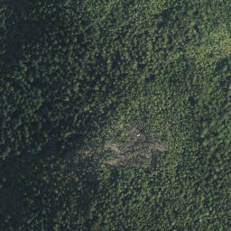 Satellite imagery of Bohn Point, CA