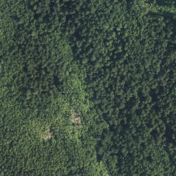 Satellite imagery of Bohn Point, CA