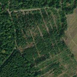 Satellite imagery of Wormser Berg, DE