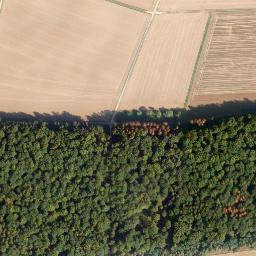 Satellite imagery of Schaarheck, DE