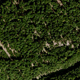 Satellite imagery of Steinbachsküppel, DE